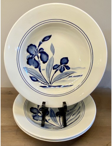 Deep plate / soup plate / pasta plate - Nimy - décor of IRIS in blue spray decor