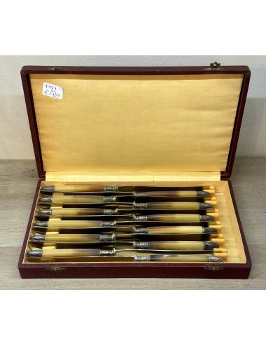 12x Knife in box - Antirouille Dèposé Inoxidable - bone handle with silver-plated end