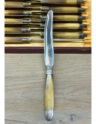 12x Knife in box - Antirouille Dèposé Inoxidable - bone handle with silver-plated end