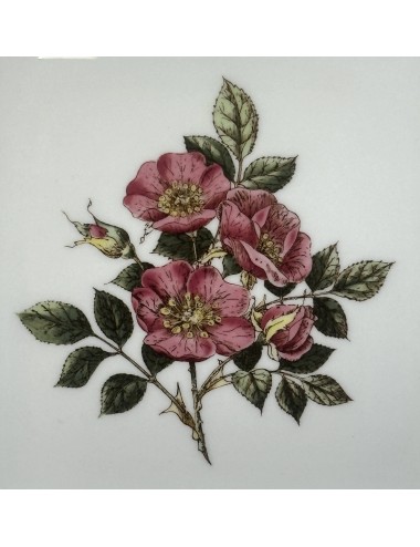 Schaal / Presenteerschaal - vierkant model - Wedgwood - décor BRIAR ROSE